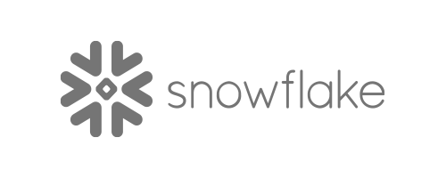 Snowflake monochrome logo