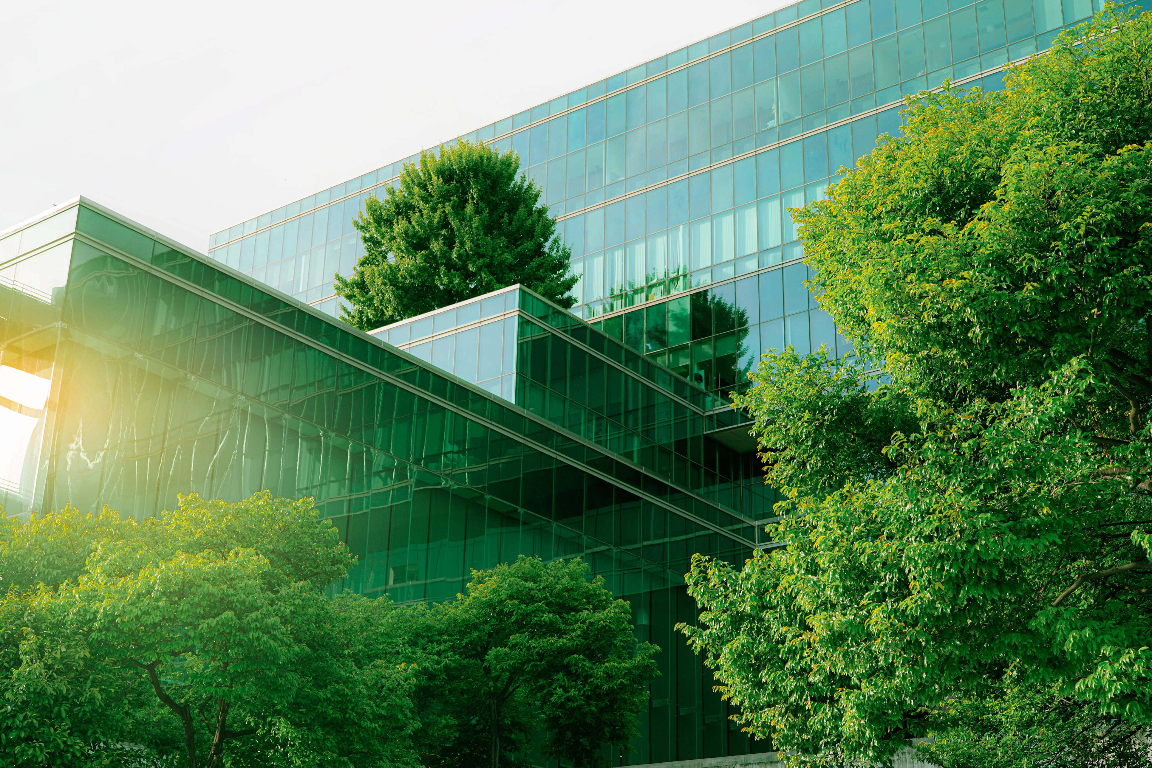 Sustainble green building. Eco-friendly building. Sustainable glass office building with tree for reducing carbon dioxide. Office with green environment