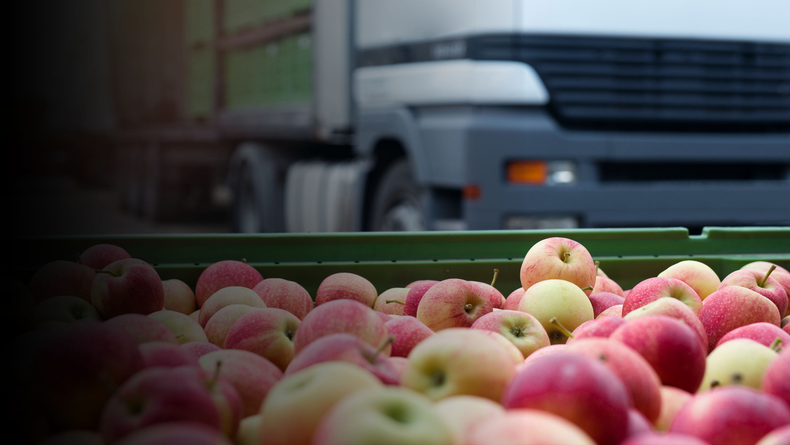 apples and a truck