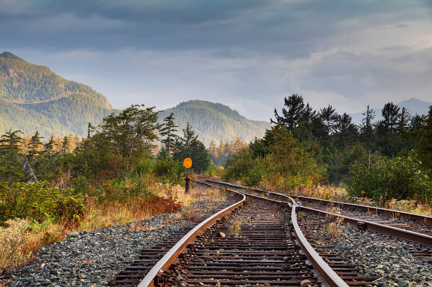 Some traintracks cutting through a wooded area.