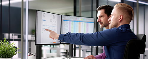 Two colleagues working with data