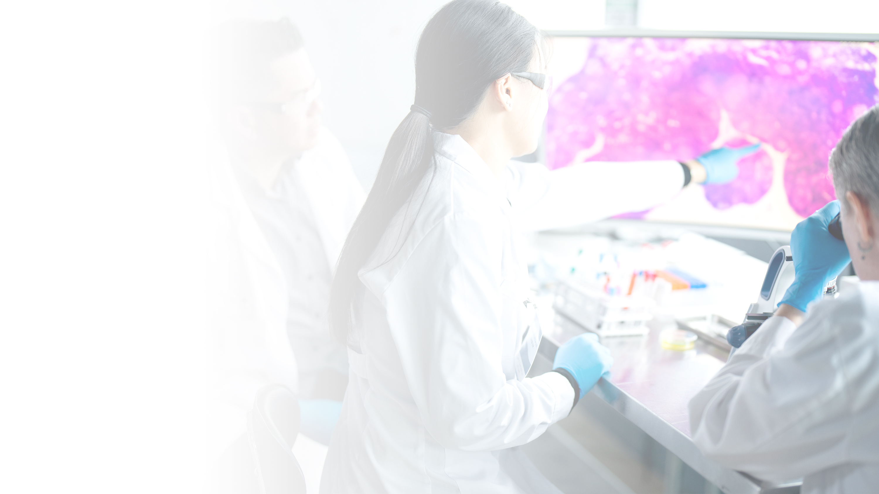 Healthcare workers looking at a screen 